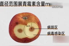 食物腐烂部分切除后还可以食用吗？图片