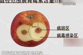 食物腐烂部分切除后还可以食用吗？图片