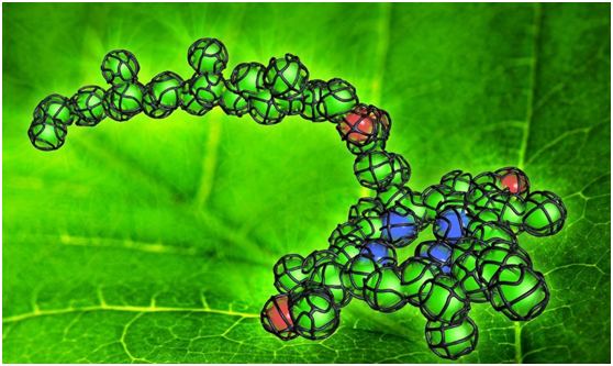 氨基酸复合肥，家庭植物肥料不常见，但是作用很大！