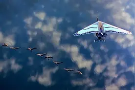 要激情还是要平静图片