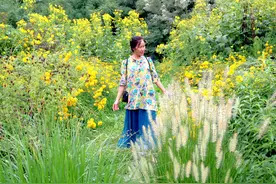 北京植物园：诗情画意的盛夏美景图片