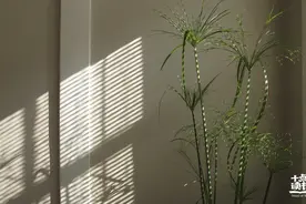 所有缘分，都是命中注定图片