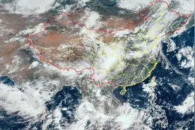 塔克拉玛干沙漠塔里木河沿岸雨后突现大面积绿洲图片