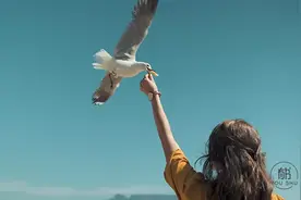 一个人最高级的修养：不给别人添麻烦图片