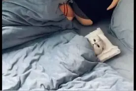 网友把猫咪寄养在朋友家，看到发来的照片就笑了，整得太舒服了吧图片