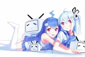 什么是A站、B站、C站、D站、E站、G站、H站……P站？图片