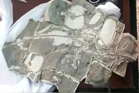 盗挖国家二级文物，涉案10万余元！辽宁朝阳警方破获盗挖、倒卖化石案！图片