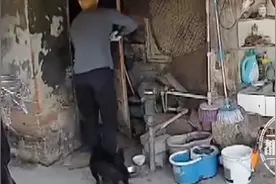 强行剪断狗链！家犬频繁被偷，村民拍下作案全过程图片