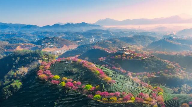 图赏 | 摄影如奇遇,有心得相逢