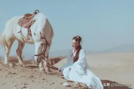 一口气读完《白马啸西风》图片