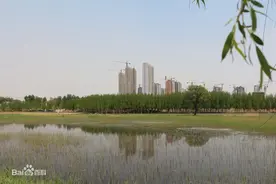 长治周边之漳泽湖国家湿地公园图片