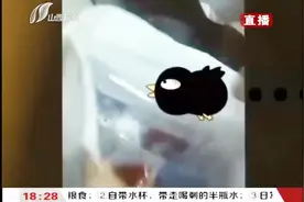 双十一买乐高寄来塑料鱼，“甩锅”系统出错，客服回应：年年有余视频封面