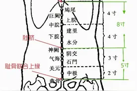 「针灸」33.中极（任脉）图片