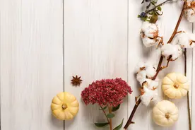 水瓶座人发脾气的一些奇特理由图片