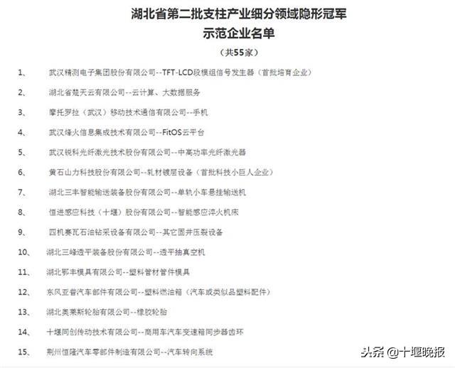 湖北第二批隐形冠军企业出炉，看看十堰有哪些企业入围？