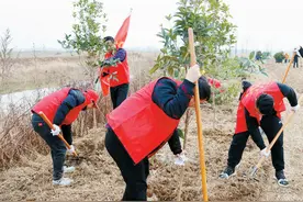 淮滨县法院到固城乡徐坡村开展义务植树活动图片