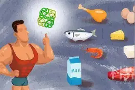 【科普知识】食物中的蛋白质如何分“优劣”？图片