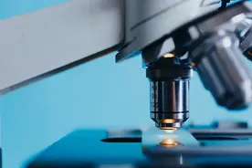 万华化学：重资产周期股，化工龙头图片