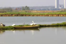 鄂州市华容区未划入武汉的背后原因解读图片