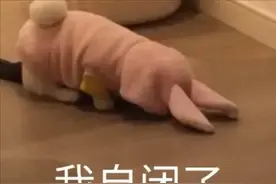 把女朋友气到当场去世？哈哈钢铁直男的暧昧期能有多离谱图片