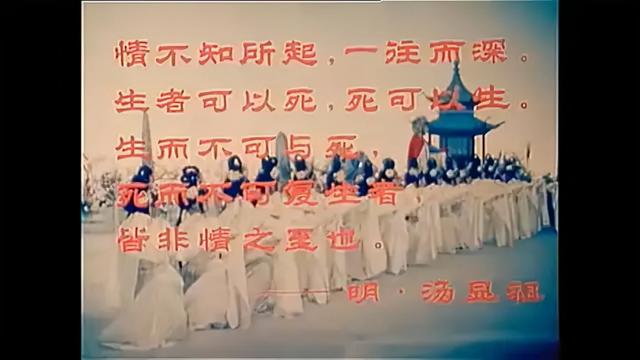 泷芙