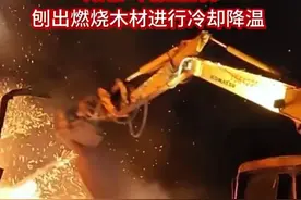 广东韶关一木材厂着火，消防员火场救出一窝小幼狗图片
