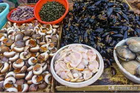 秦皇岛发布“禁食海虹”预警，海虹是什么海鲜？为啥会导致中毒？图片
