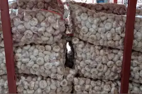 又跌！6.29江苏邳州大蒜价格图片