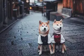 抓住时代红利，实现阶层跃迁图片