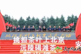 挑担茶叶上北京—“五彩湘茶”大型宣传推广活动在韶山毛泽东广场举行图片