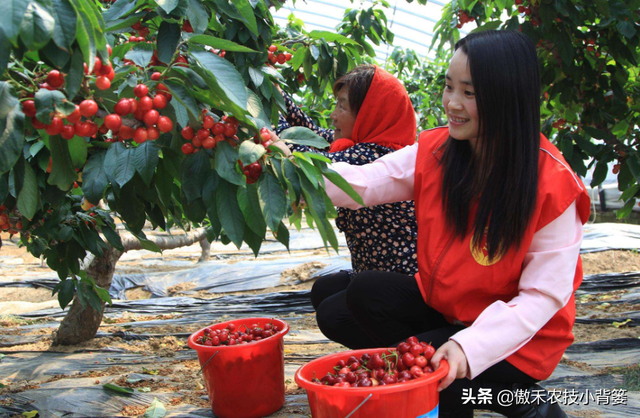 作物上的这3个叶面肥配方，能促长壮棵、增产增收，又能防治病害