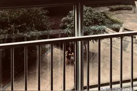 疫情真相揭露：武汉，65岁，猫婆婆，退休职工，疫情期从不戴口罩图片