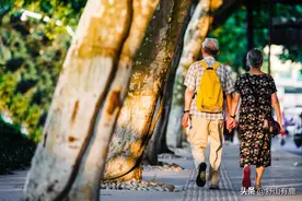 老龄化社会，老年人到底能“依靠”谁？白岩松：钱和亲人都靠不住图片
