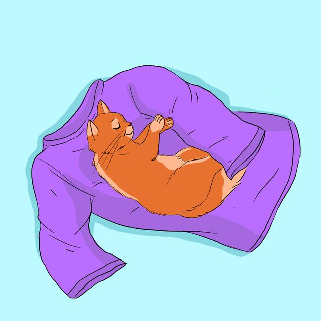 èʾ10ַʽ㶼