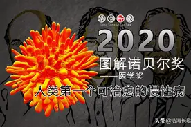 图解2020诺贝尔医学奖：人类第一个可治愈的慢性病毒性疾病图片