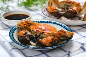 秋天螃蟹肥美，有人吃不对住院！教你3招健康吃螃蟹图片