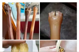 盘骨为玉——牙骨类文玩之鹿骨图片