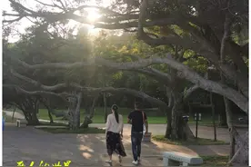 两人的世界图片