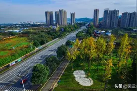 “驿”路走来——龙泉驿交通大变局图片