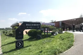 “国际客厅”高朋满座，全球资源“川流不息”图片