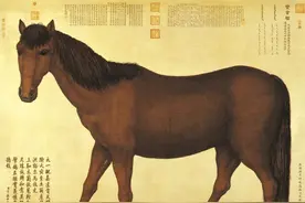 故宫那匹名叫宝吉骝的马图片