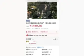 西湖边的蔡元培女儿故居拍出1.2亿元图片