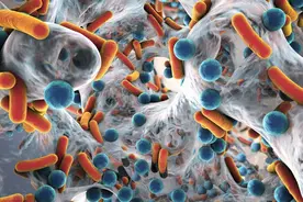 洗浴王之清洁小助手——鱼疗图片