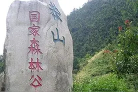 被称为“蛇中熊猫”的莽山烙铁头，凭什么一条价值上百万？图片