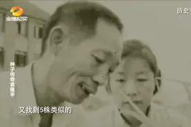袁隆平表述水稻杂交优势的设想，却惹来一片嘲笑之声，这是为什么视频封面