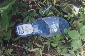 来宾小学女生放学后离奇失踪，被人抛尸荒野！警方破案了图片
