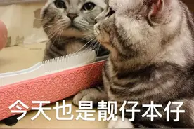 提醒！本周，泰州这些地方即将停电，请做好准备图片