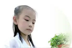 八岁学生硬笔书法多次斩获大奖，字迹秀美惊艳图片