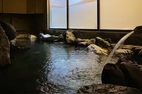 28岁程序员从字节跳动主动退休，期权过亿，选择与努力同等重要图片
