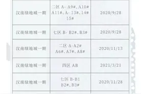 汉南绿地城受疫情影响调整后的各区交付时间图片